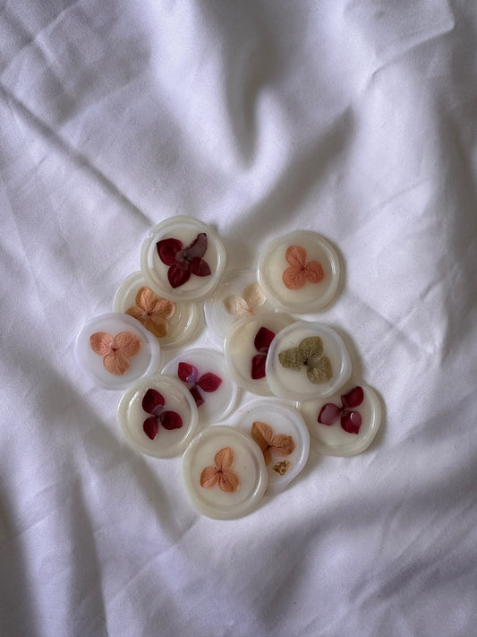 Dried Single Flowers